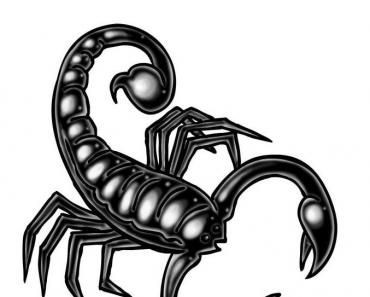 Skorpiona bērns: īpašības un audzināšanas padomi